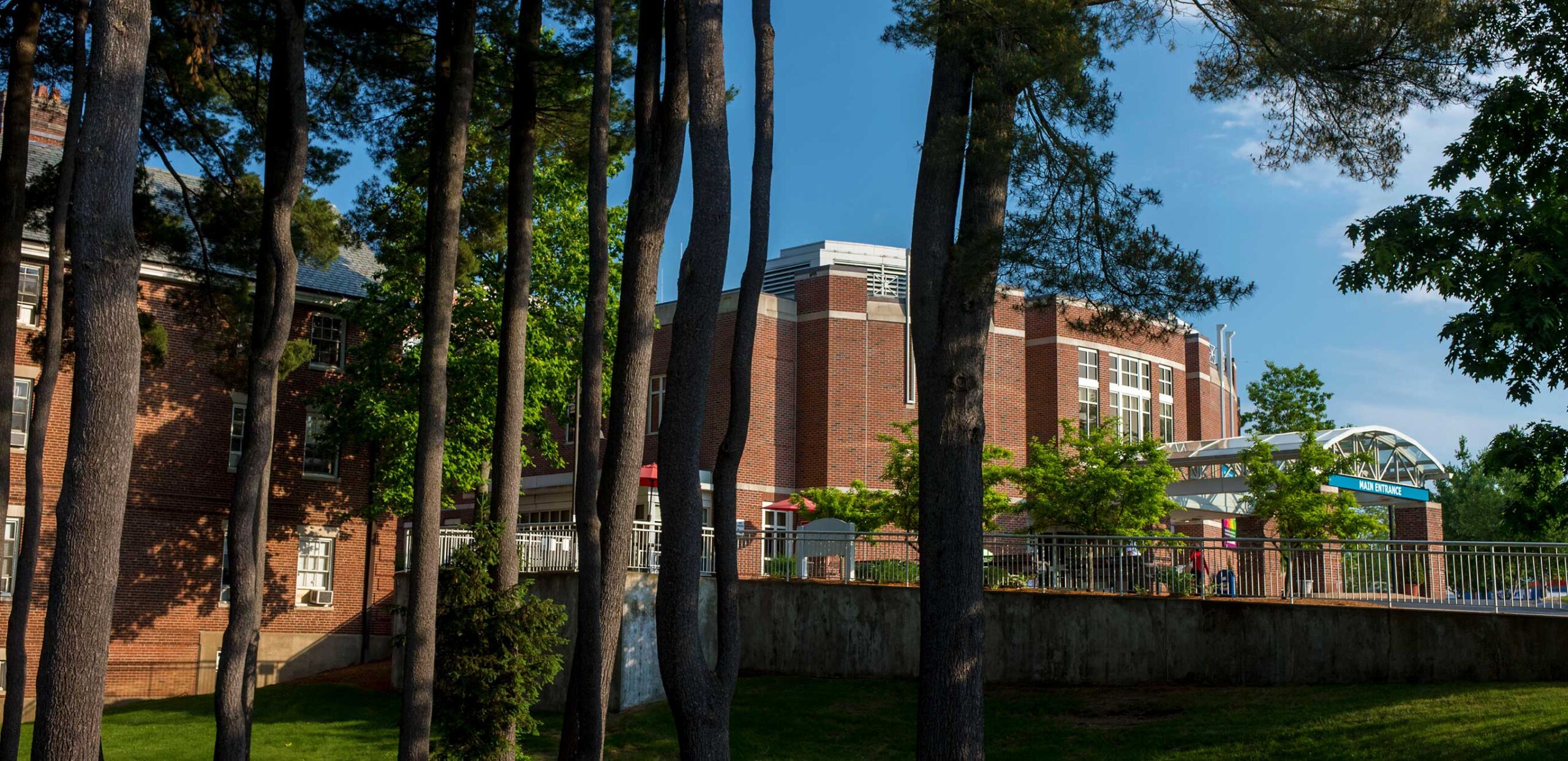 Tall pines at Cooley Dickinson Hospital