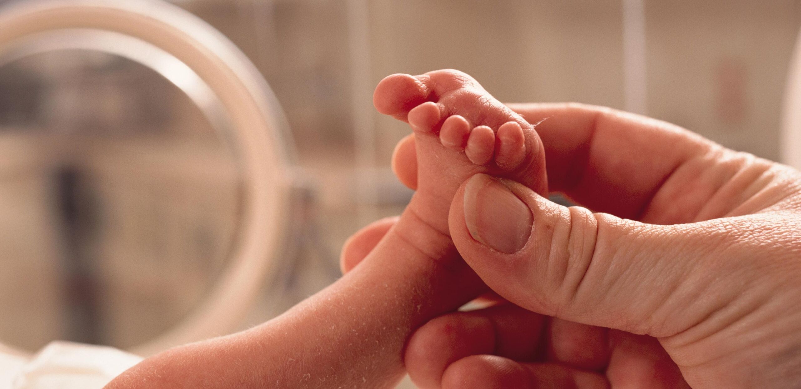 Provider examines newborn's toes at Northampton Family Medicine, Cooley Dickinson Medical Group, Northampton, MA 01060