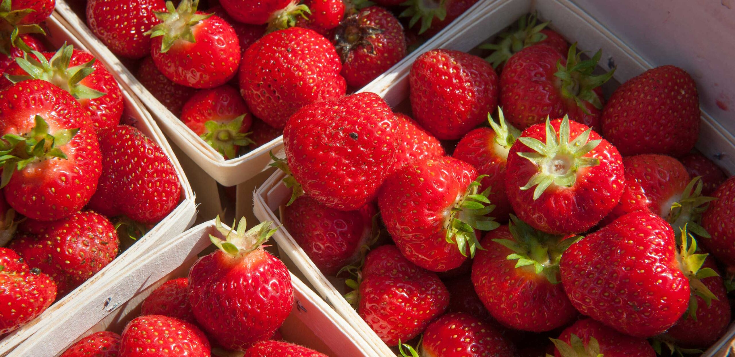 Strawberries in baskets.