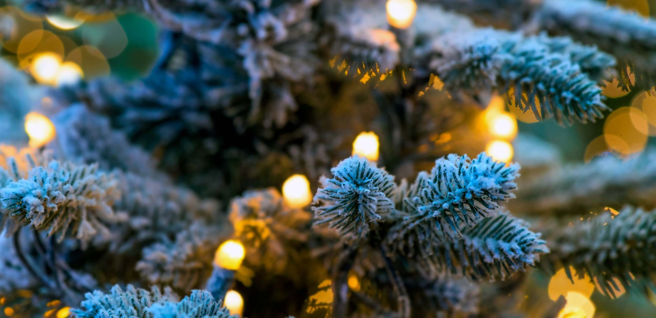 Trees of Love and Thanksgiving lighting ceremony, Cooley Dickinson Hospital, 30 Locust Street, Northampton, MA 01060.