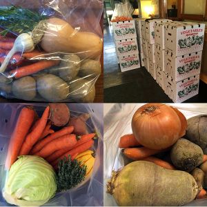 Vegetable shares given out to every child at Easthamtpon public elementary schools