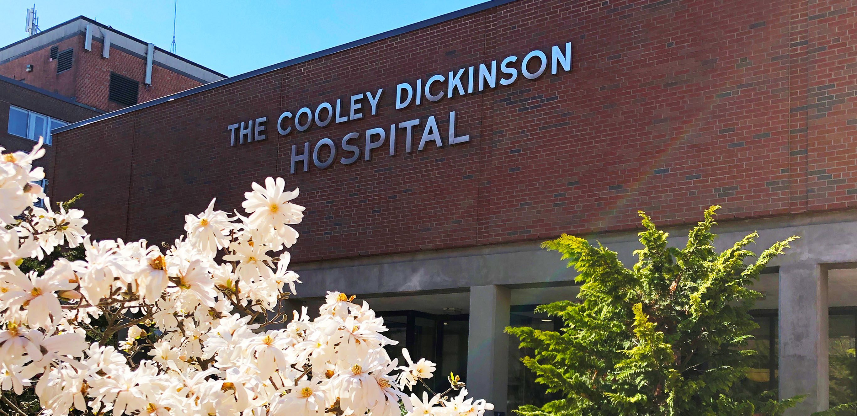 The front of Cooley Dickinson Hospital with spring flowers in view