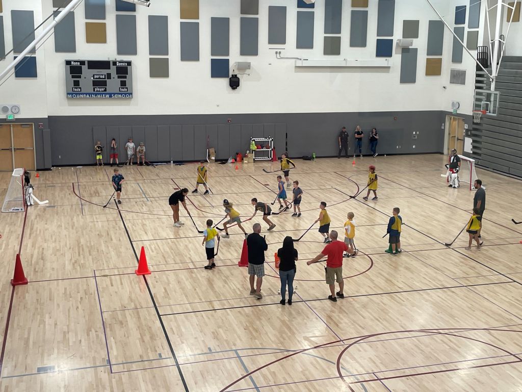 Children in a gymnasium playing floor hockey.