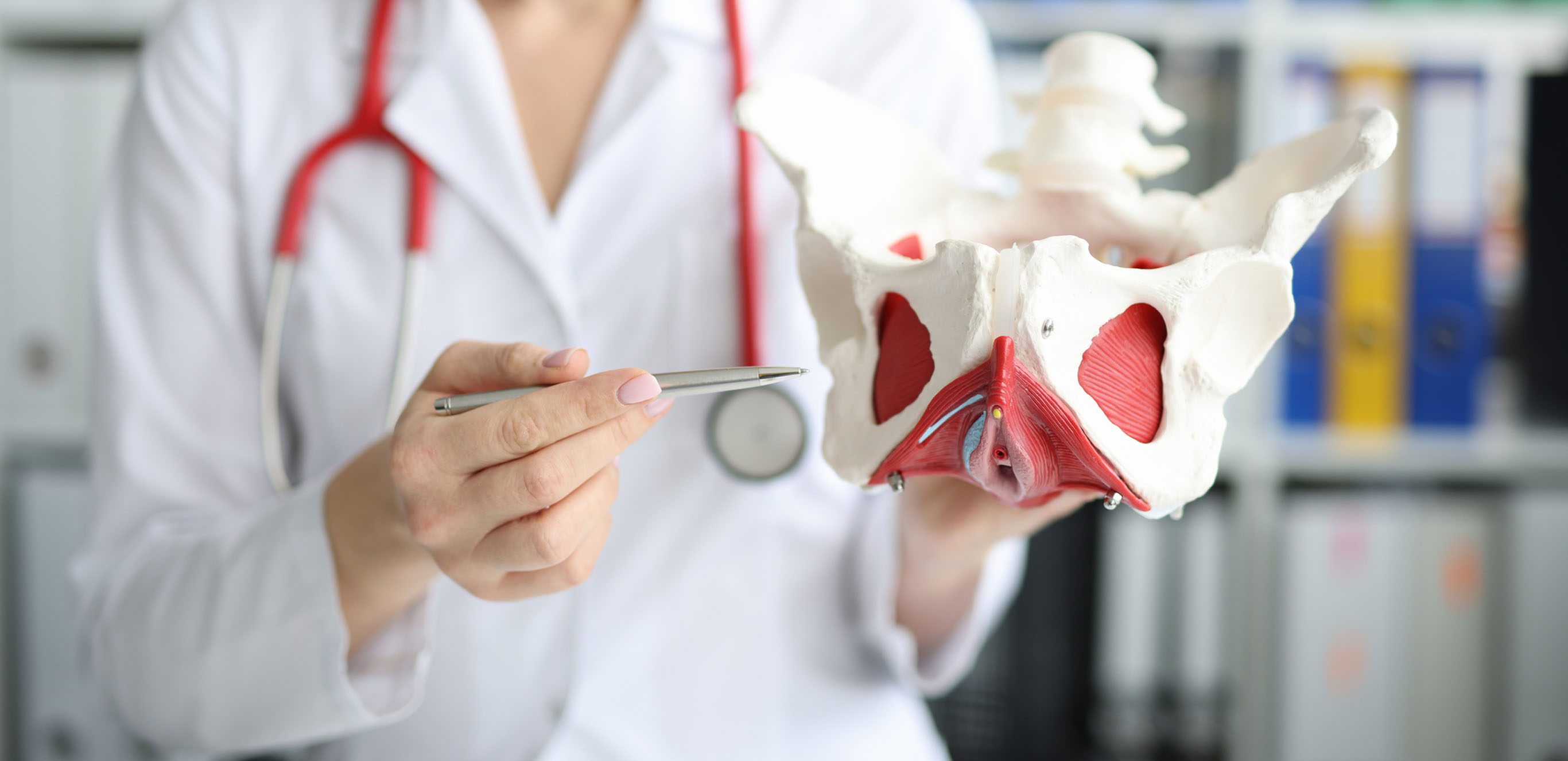 Female doctor pointing at diagram of a woman's pelvis.